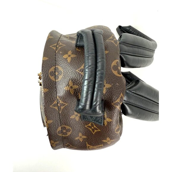 Louis Vuitton Backpack Palm Springs PM Monogram Canvas Backpack main image 6